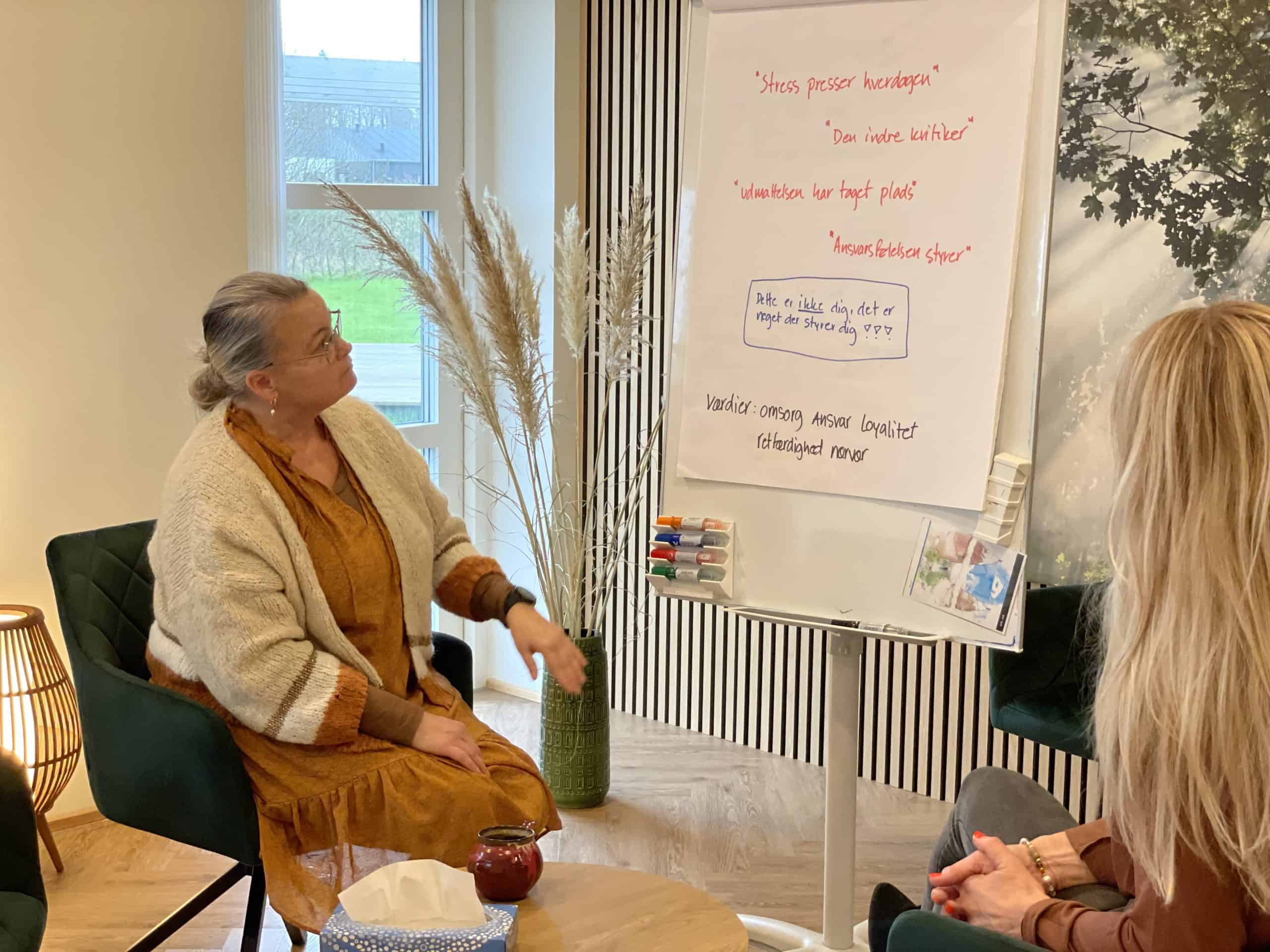 Familieterapi et rum for familien